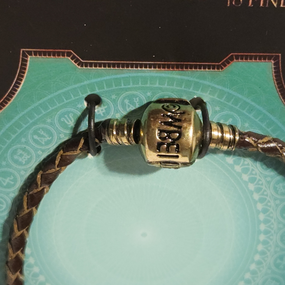X-Large, Fantastic Beasts Brown Charm Bracelet - Picture 4 of 5